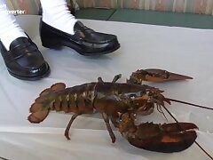 hiyori1-1-3full Lush Japanese Temptation Dive Deep into Her Sensual World