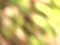 bareta Enchanted Princess Sweet Solo Adventures in Fuzzy Fantasy Land