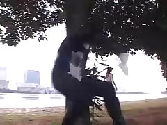 ZDLN23 Passionate Nights Sizzling Moments with a Hot Asian Lover