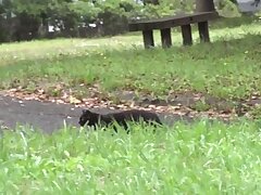 ZEPE87_02 Passionate Asian Beauties Intimate Encounters & Sensual Pleasures