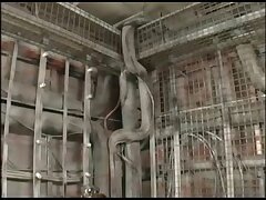 GAJ10 Sensual Siren's Vibrator Thrills Clit Bliss & Ecstasy Awaits