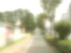 EKDV-647 Explore Ultimate Pleasure Mosaic's Live Super Anal Show!